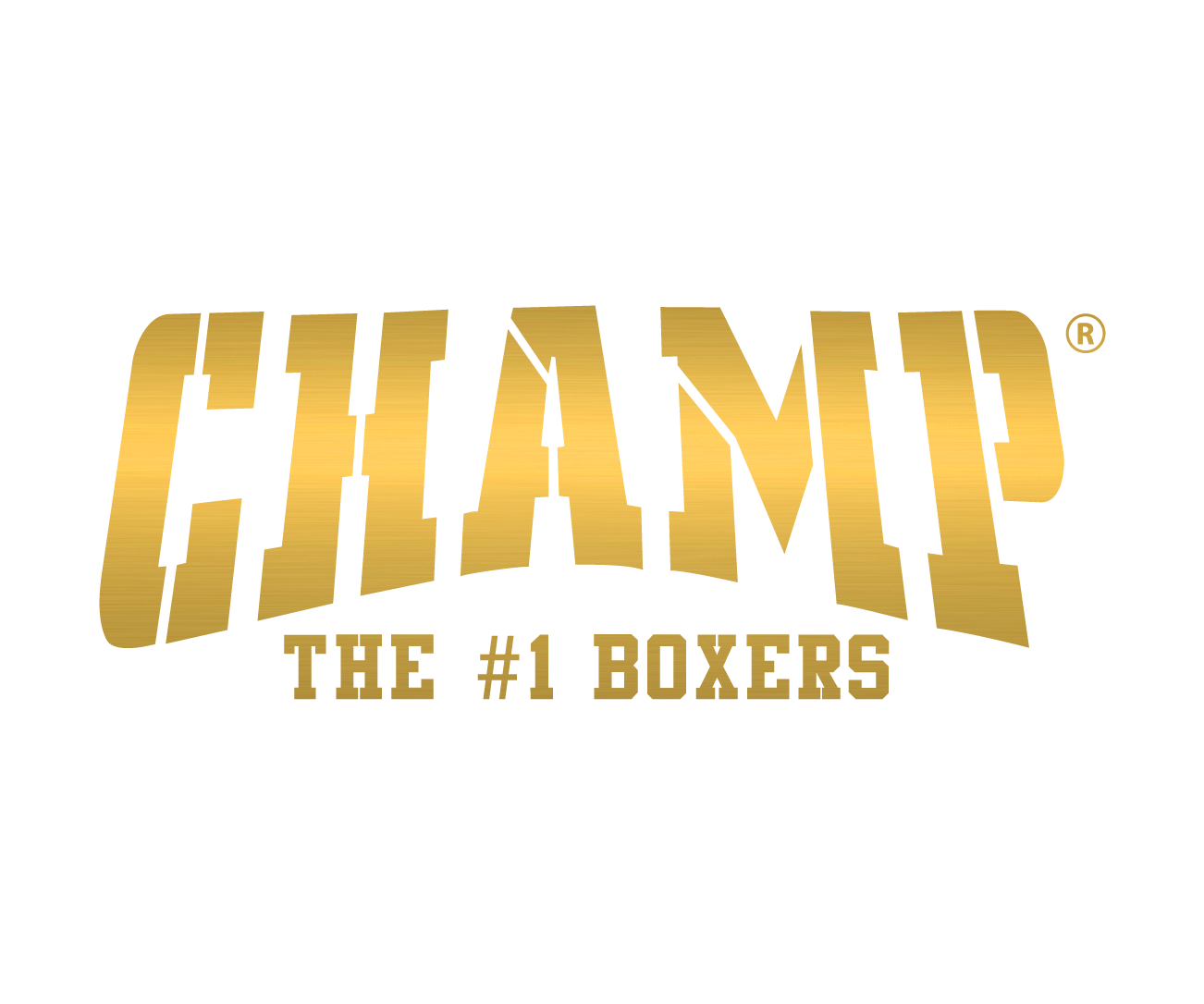 Champ The #1 Boxers Briefs