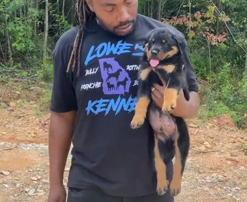 Lowe's Kennel T-Shirt