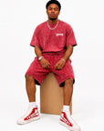 ACID WASH T-SHIRT and ACID WASH FLEECE SHORTS SET - CHAMP