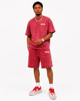 ACID WASH T-SHIRT and ACID WASH FLEECE SHORTS SET - CHAMP