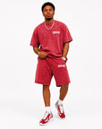 ACID WASH T-SHIRT and ACID WASH FLEECE SHORTS SET - CHAMP