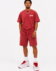 ACID WASH T-SHIRT and ACID WASH FLEECE SHORTS SET - CHAMP