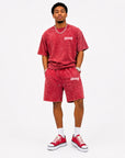 ACID WASH T-SHIRT and ACID WASH FLEECE SHORTS SET - CHAMP
