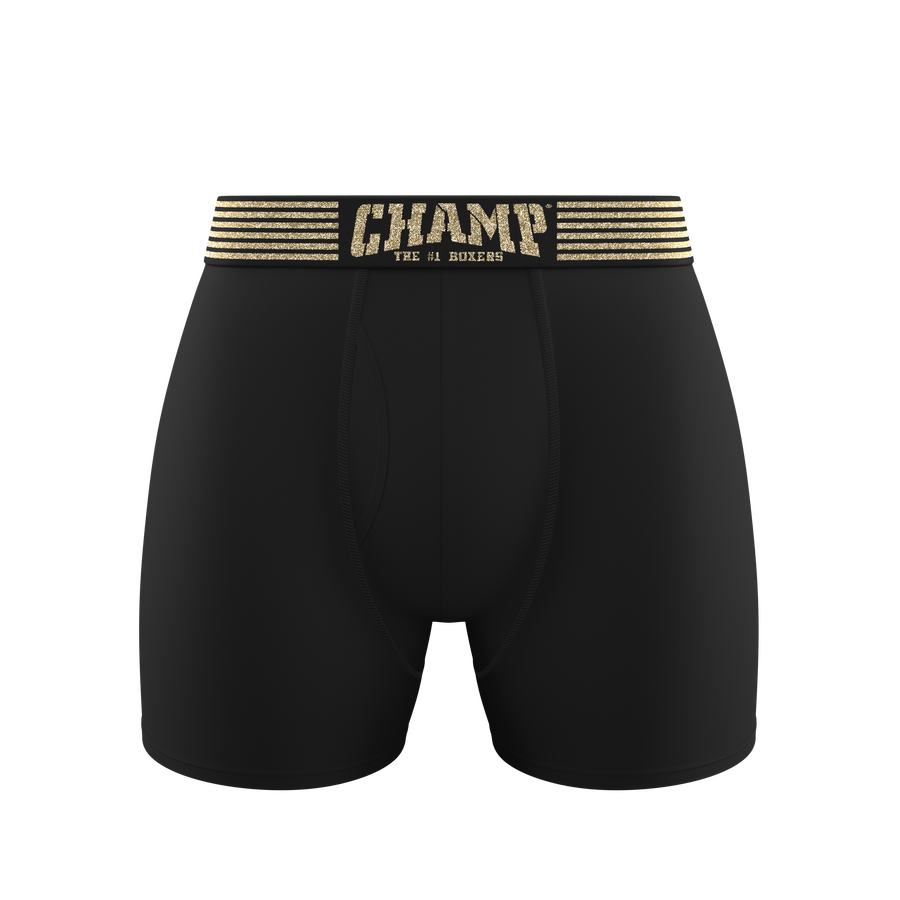 Champ underwear 2025
