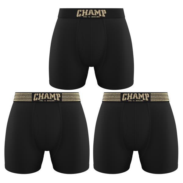 Champion Men's Black Underwear - Large, 2 pk - Fred Meyer